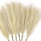6 PCS Faux Pampas Grass Arrangement - 18"/45cm Artificial Fluffy Pompous Grass Stems for Boho Chic Home and Wedding Decor (Beige)